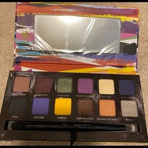 Anastasia eyeshadow artist palette!